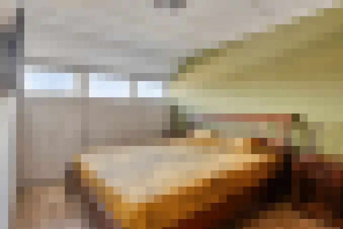 Morel 40 Uden thumbnail 13