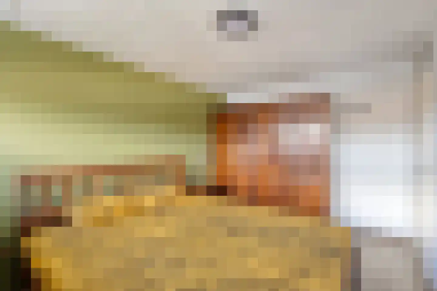 Morel 40 Uden thumbnail 14