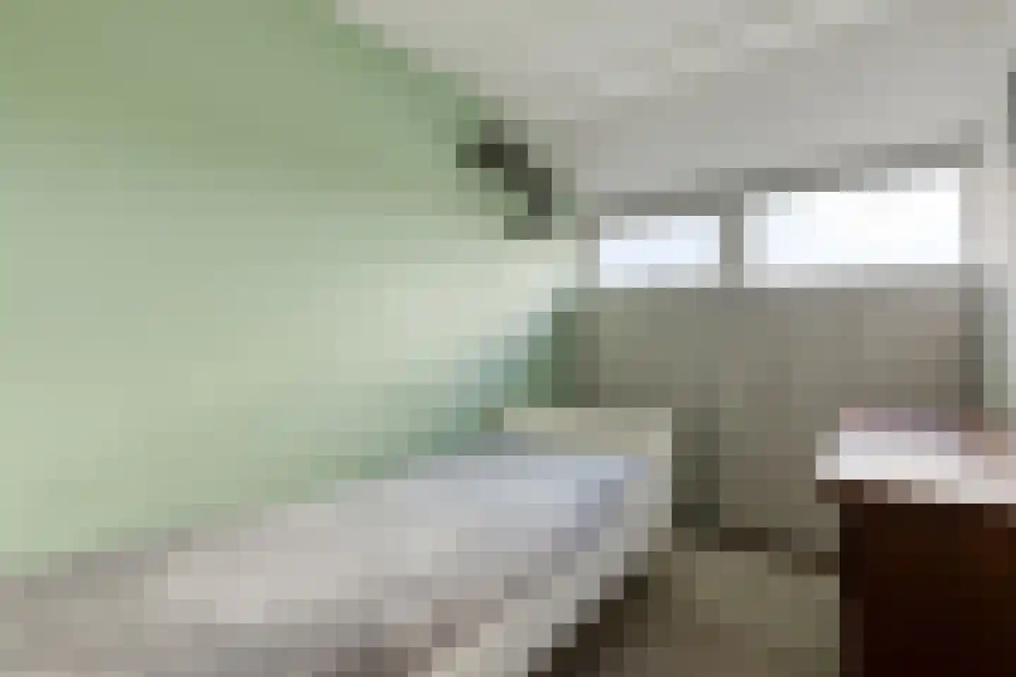 Morel 40 Uden thumbnail 17