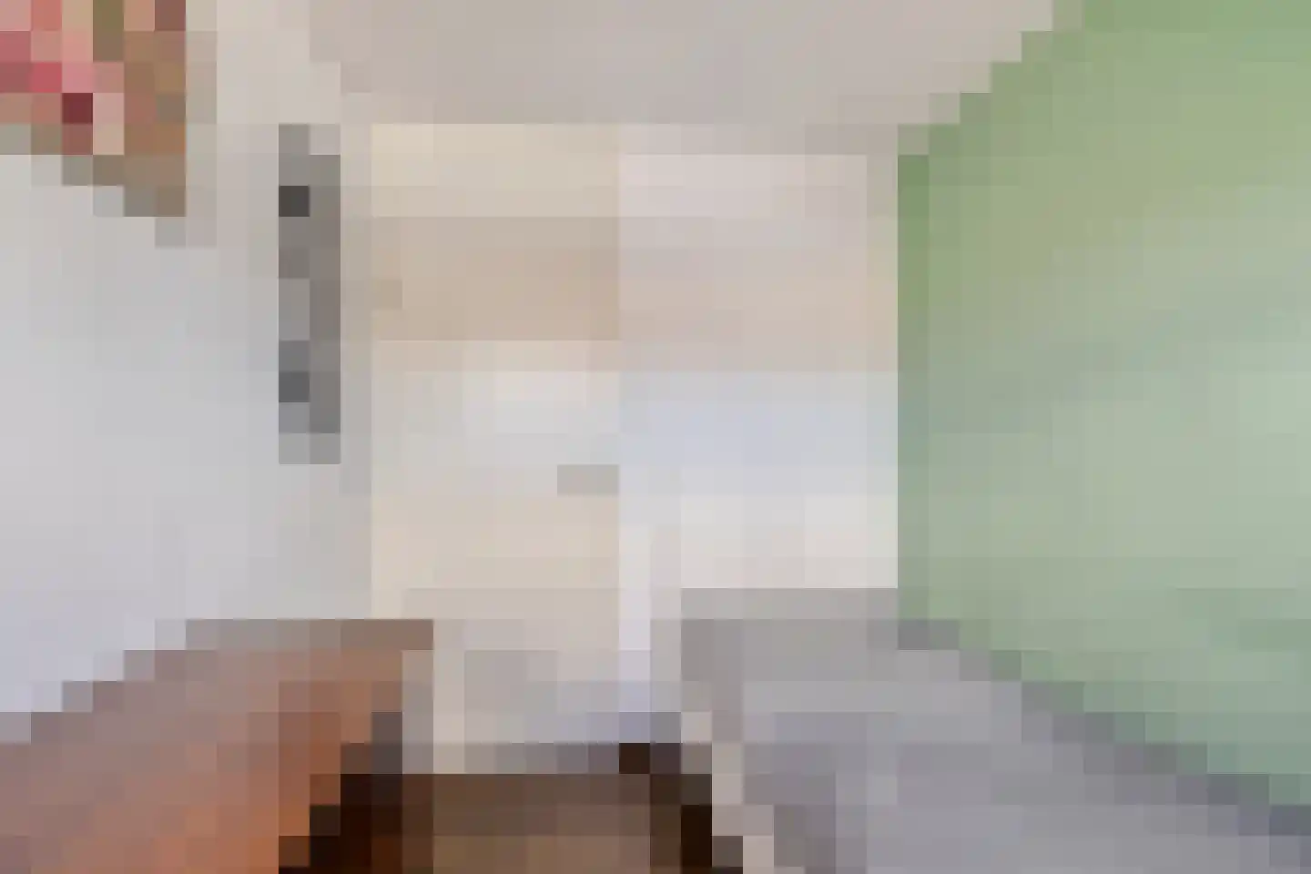 Morel 40 Uden thumbnail 18