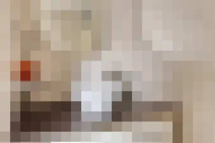 Morel 40 Uden thumbnail 21