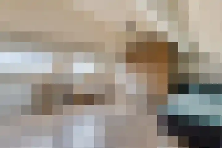 Morel 40 Uden thumbnail 22
