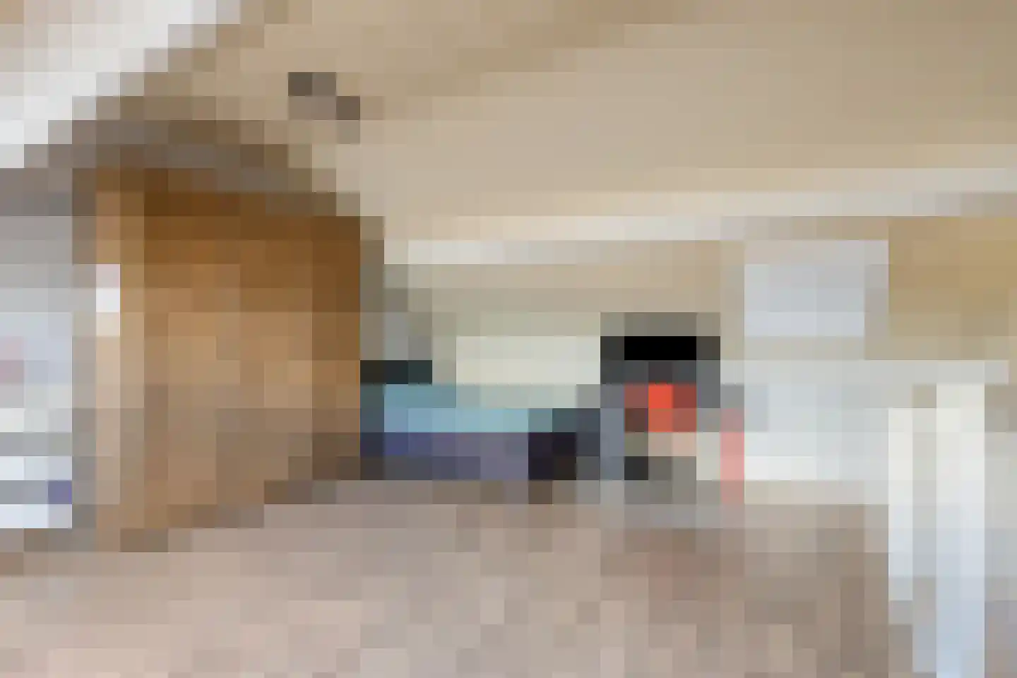 Morel 40 Uden thumbnail 23