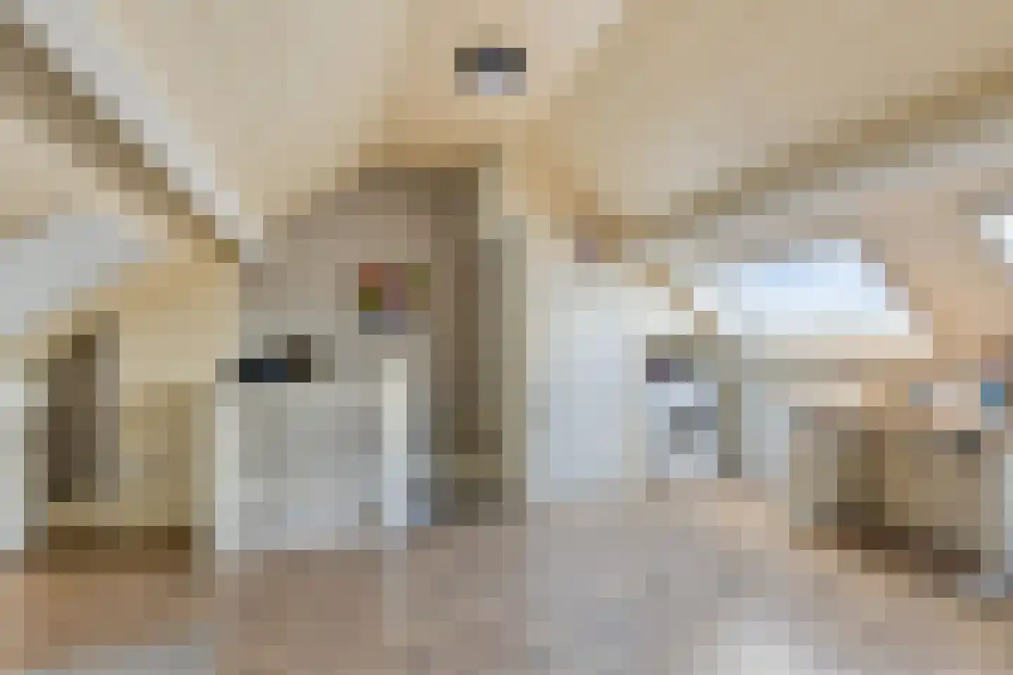 Morel 40 Uden thumbnail 24