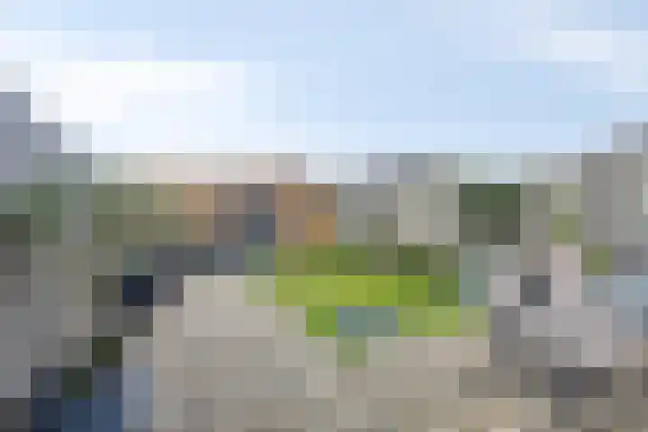 Morel 40 Uden thumbnail 25