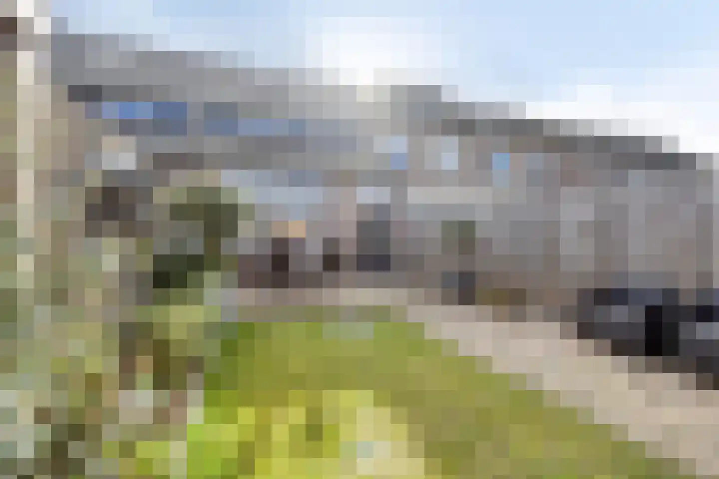 Morel 40 Uden thumbnail 30
