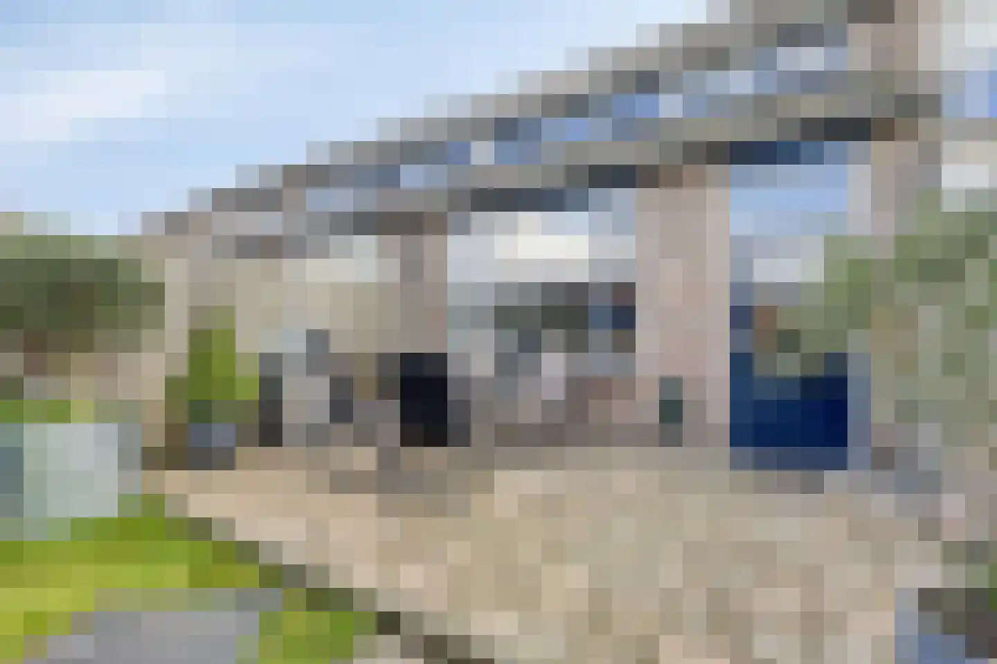 Morel 40 Uden thumbnail 33