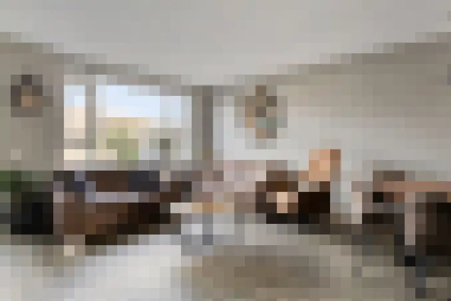Morel 40 Uden thumbnail 4