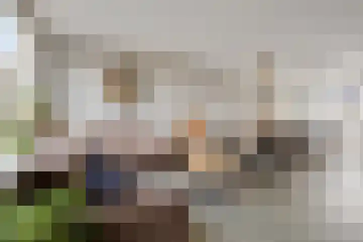 Morel 40 Uden thumbnail 5