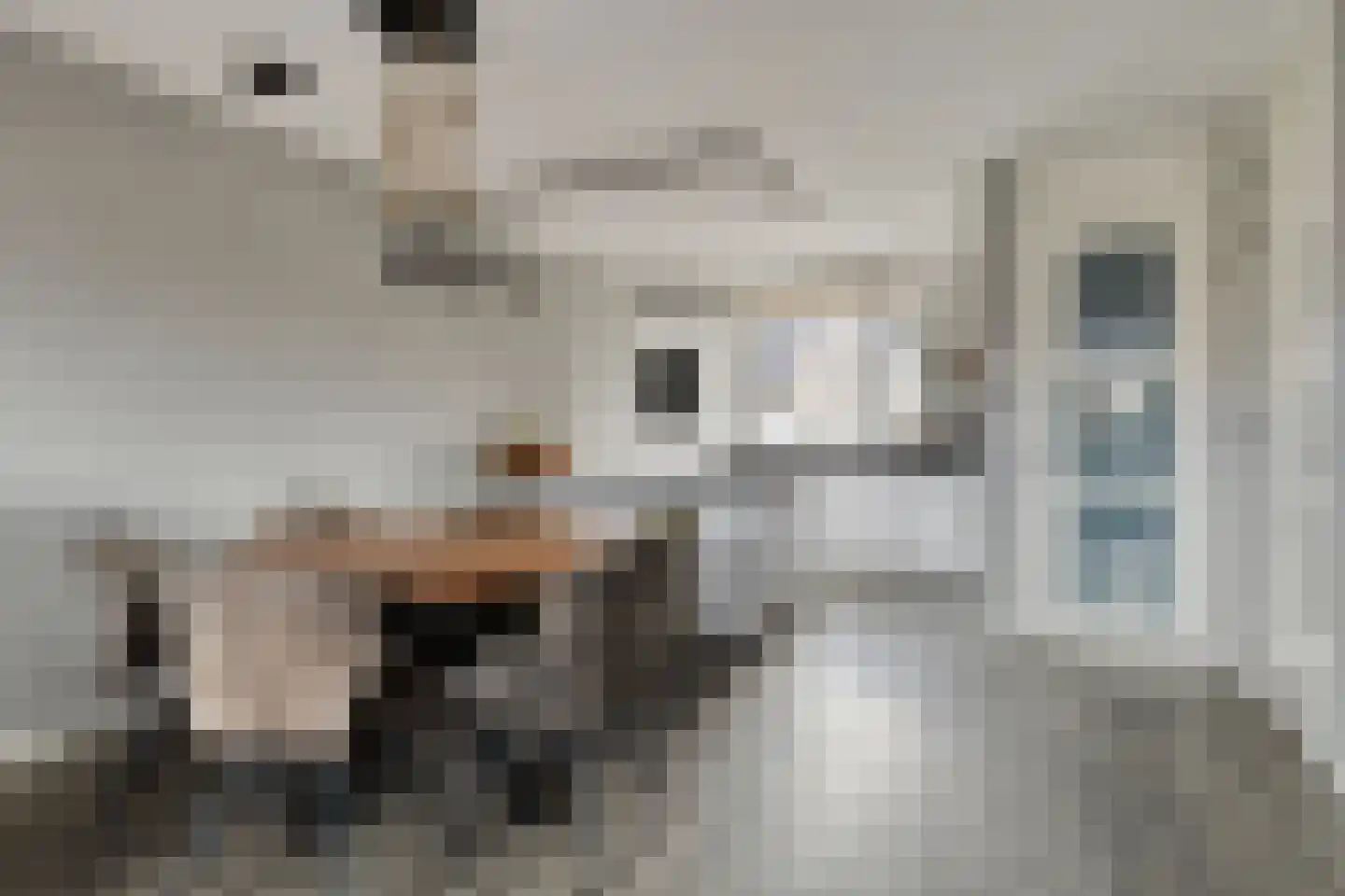 Morel 40 Uden thumbnail 7