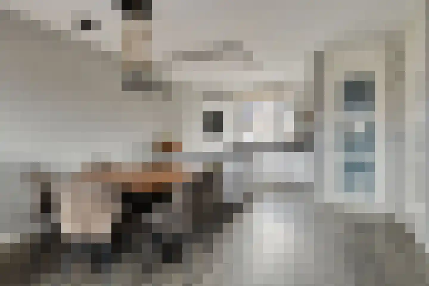 Morel 40 Uden thumbnail 7