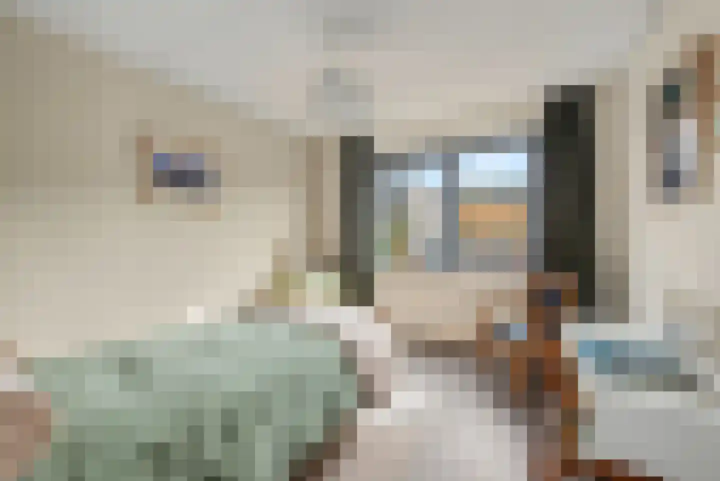Morel 9 Wageningen thumbnail 17