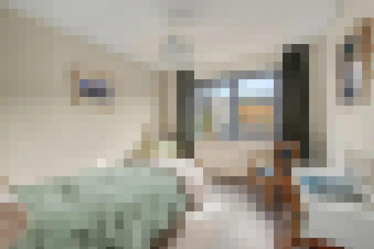 Morel 9 Wageningen thumbnail 17