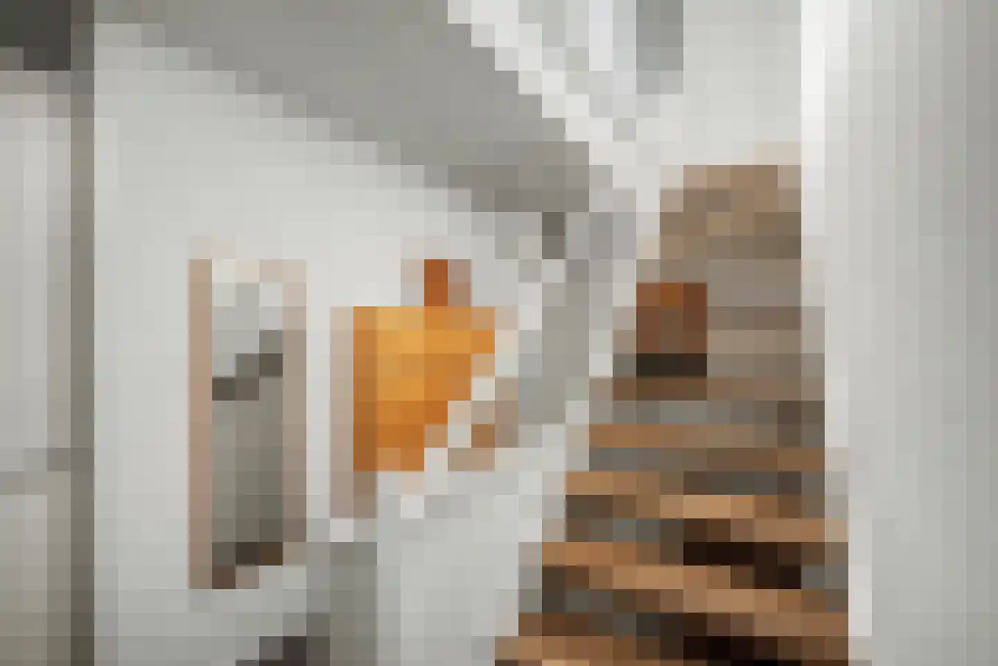 Morel 9 Wageningen thumbnail 21