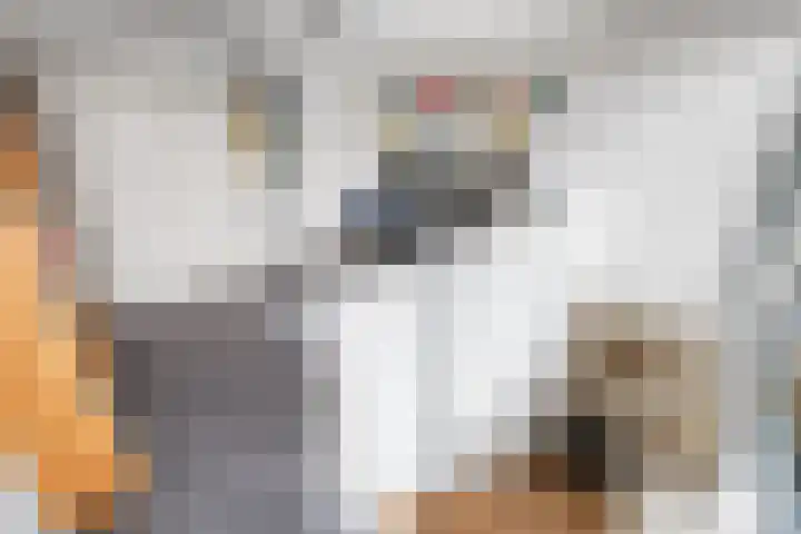 Morel 9 Wageningen thumbnail 22