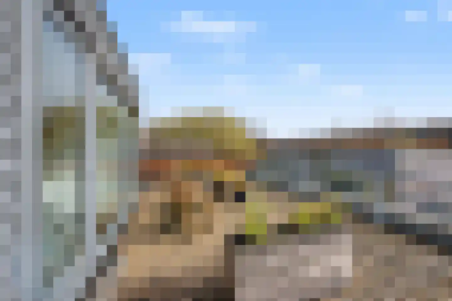 Morel 9 Wageningen thumbnail 26