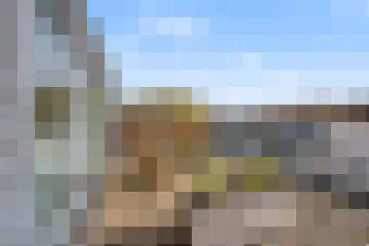 Morel 9 Wageningen thumbnail 26