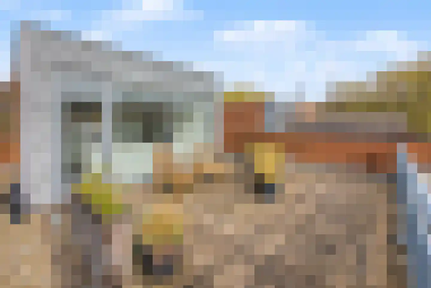 Morel 9 Wageningen thumbnail 27