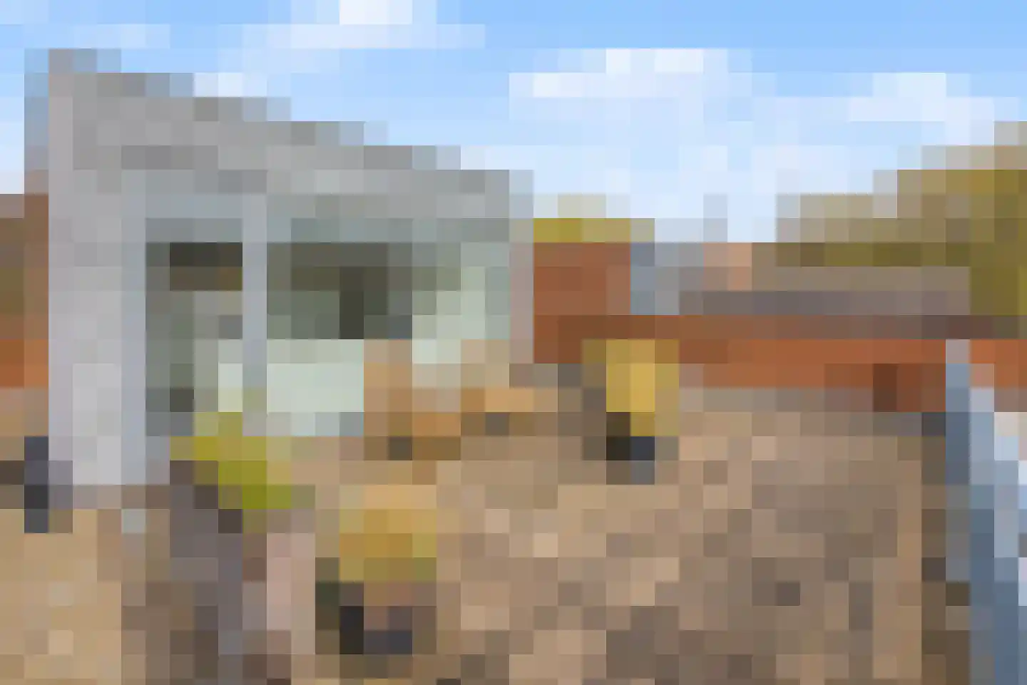 Morel 9 Wageningen thumbnail 28