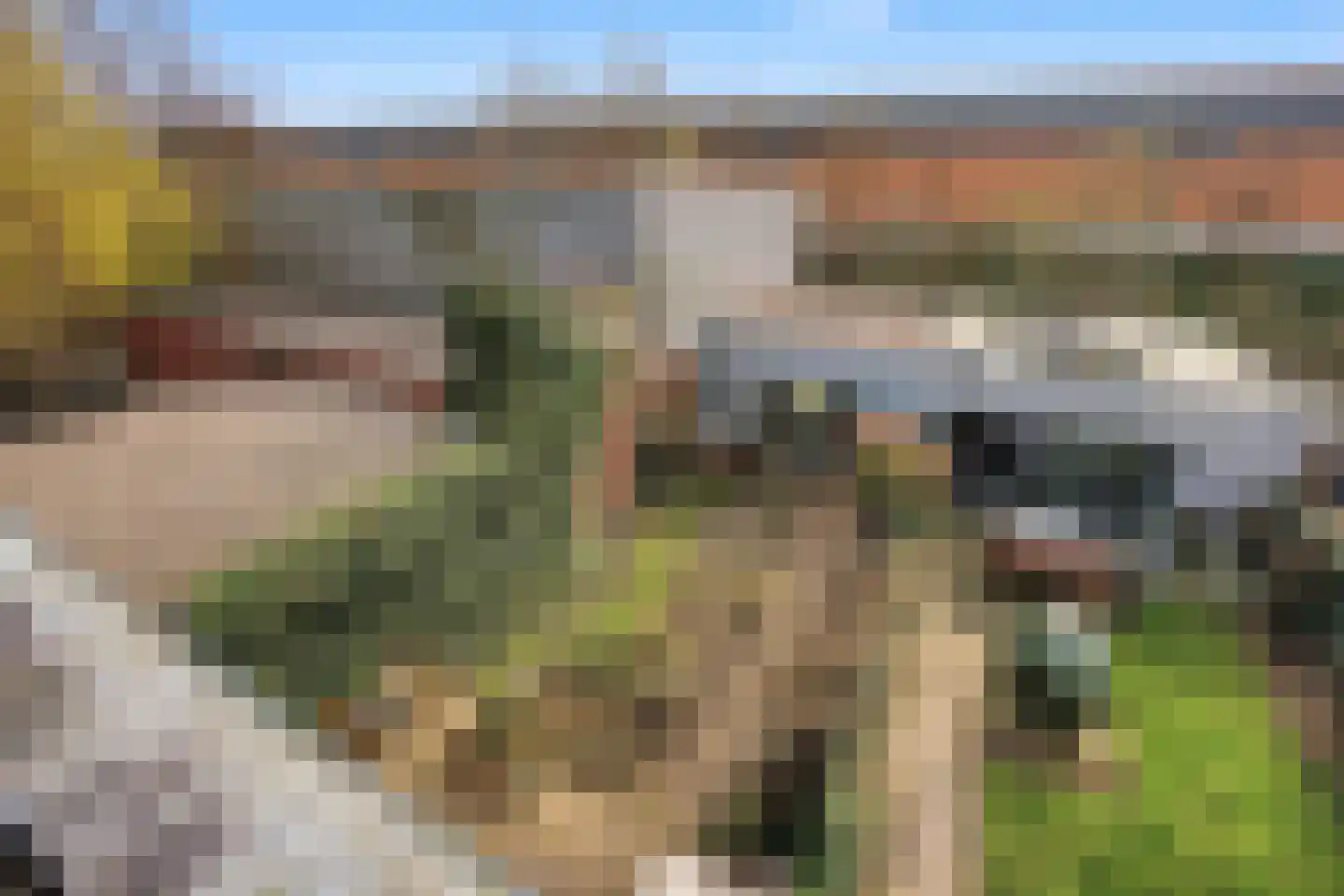 Morel 9 Wageningen thumbnail 28
