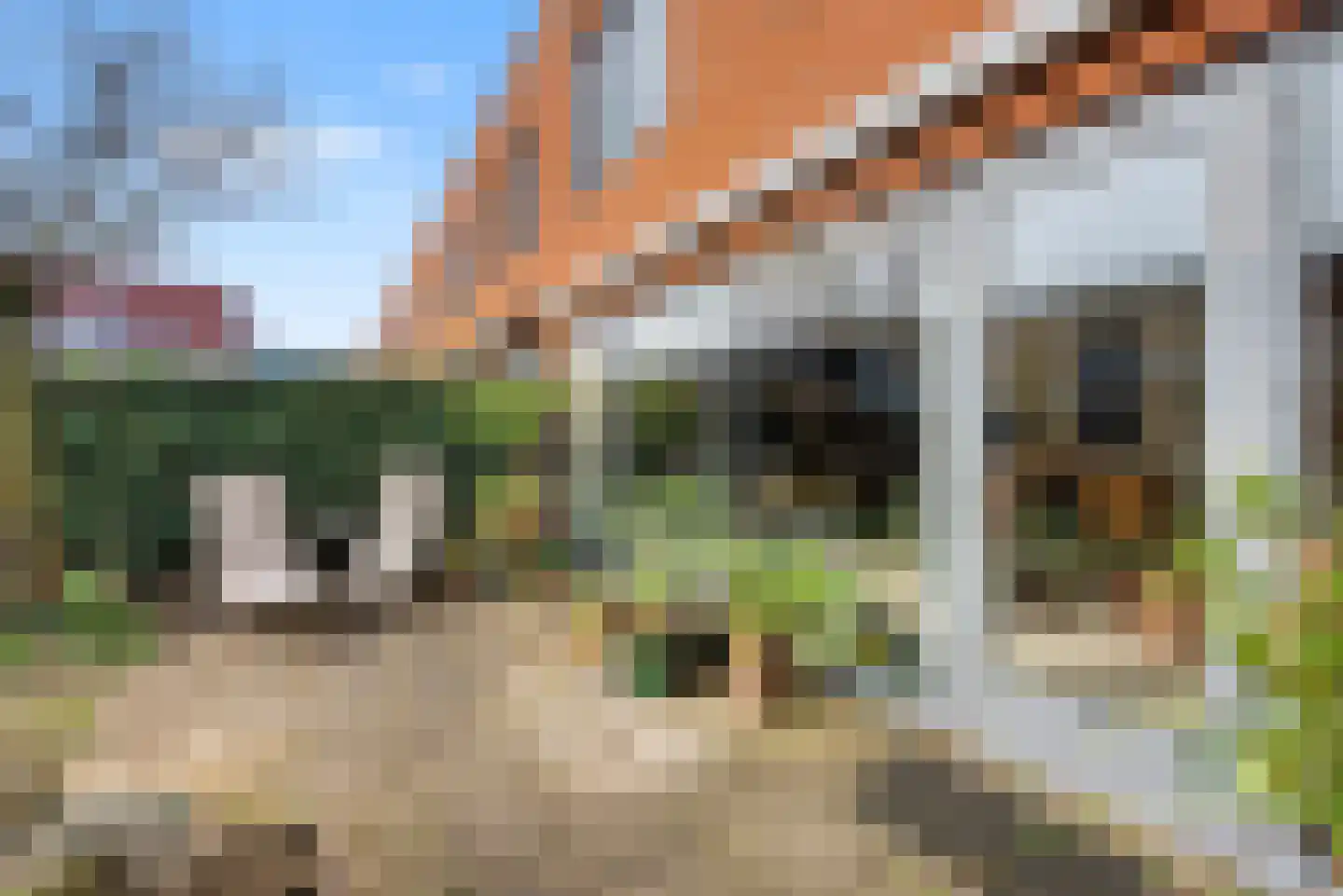 Morel 9 Wageningen thumbnail 29