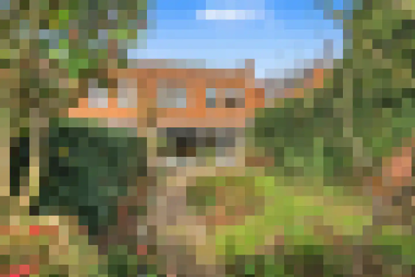 Morel 9 Wageningen thumbnail 30