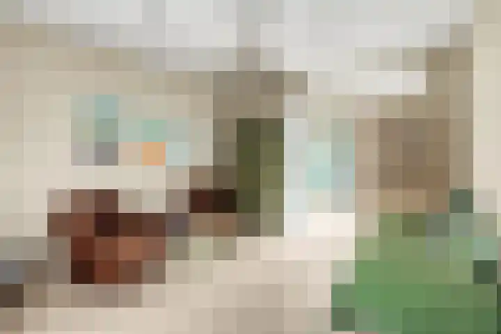Morel 9 Wageningen thumbnail 33