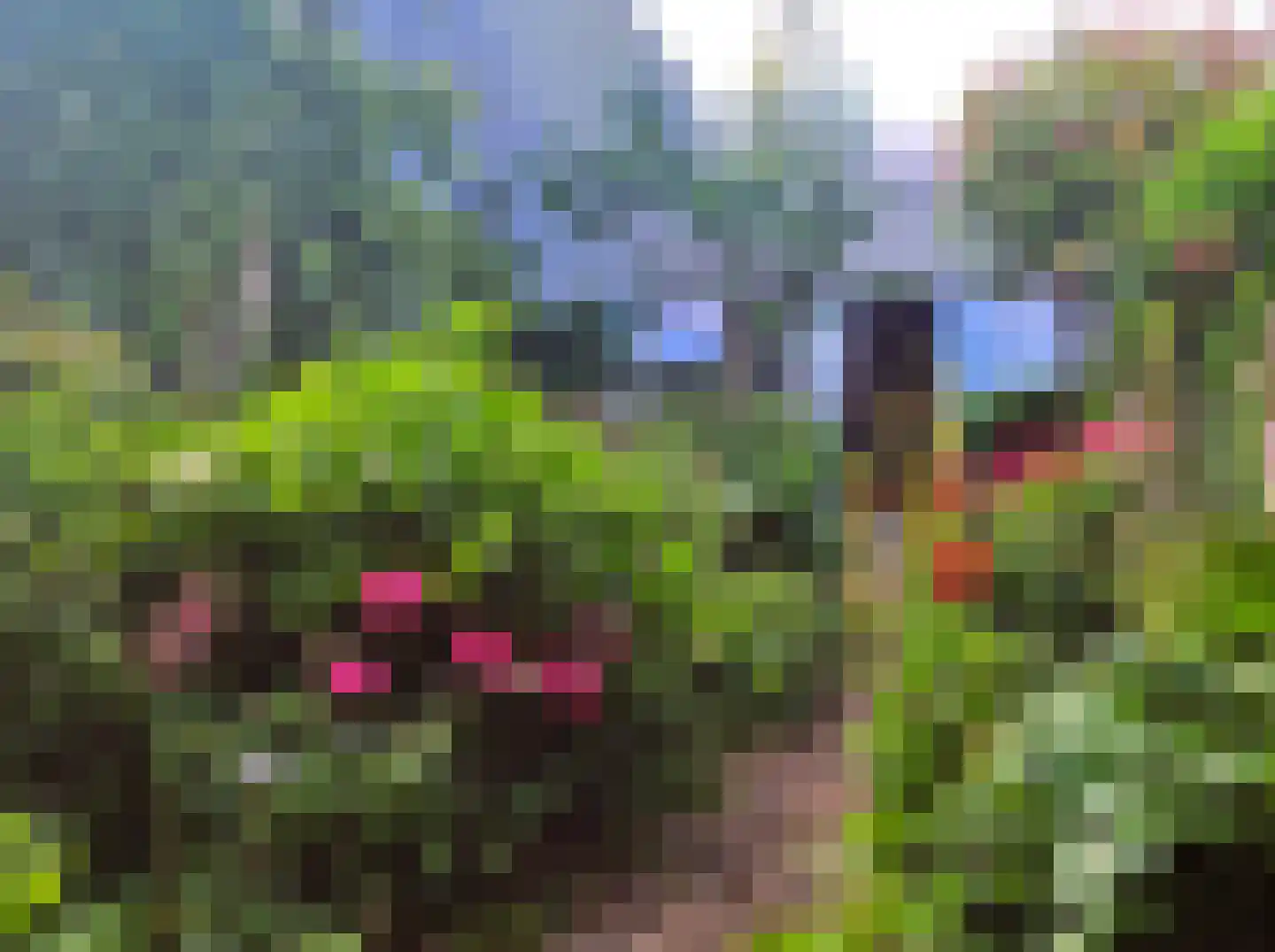Morel 9 Wageningen thumbnail 36