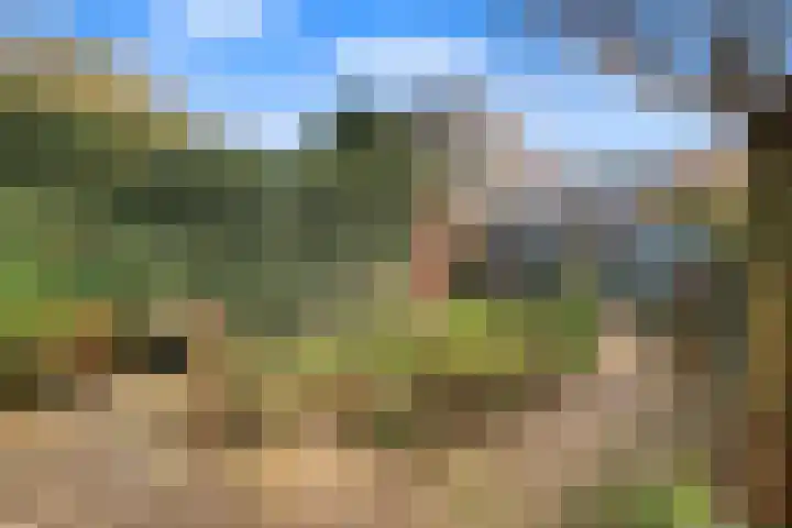 Morel 9 Wageningen thumbnail 36
