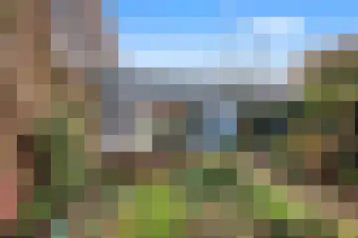 Morel 9 Wageningen thumbnail 37