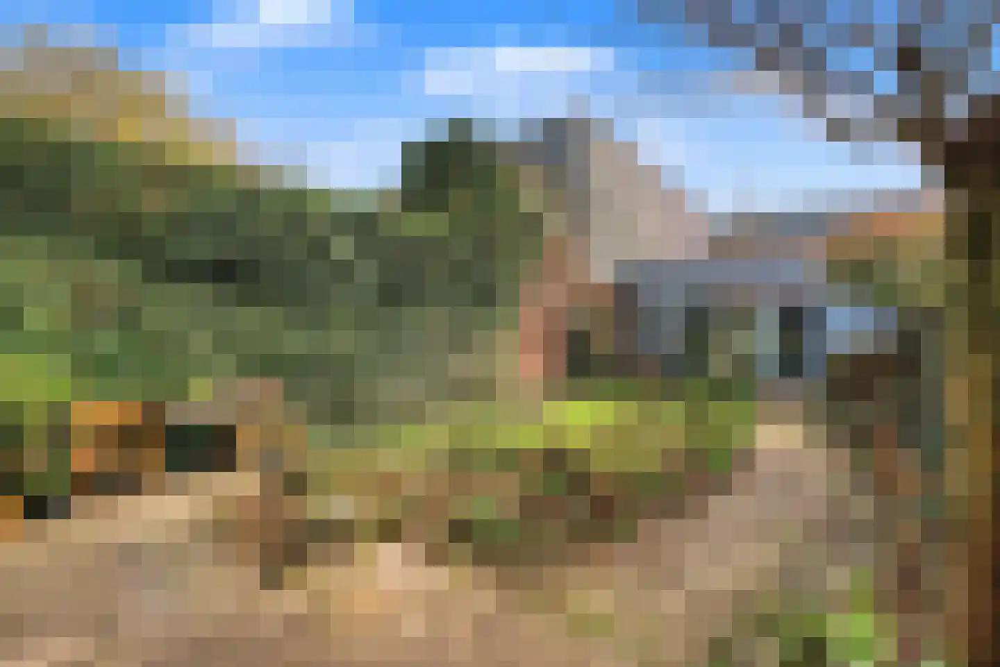 Morel 9 Wageningen thumbnail 37