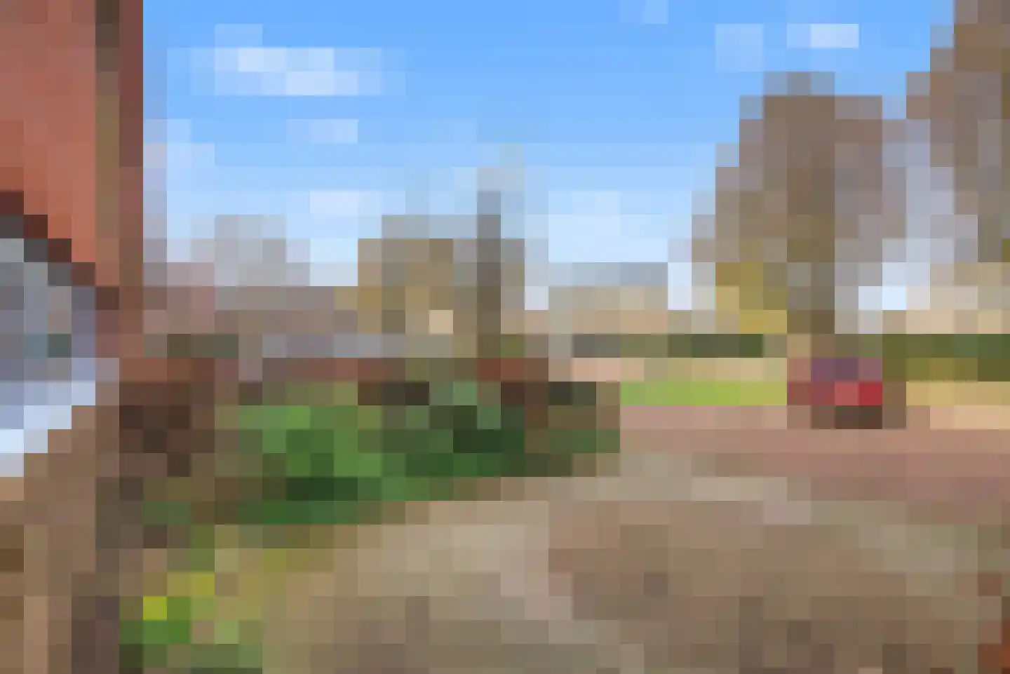 Morel 9 Wageningen thumbnail 39