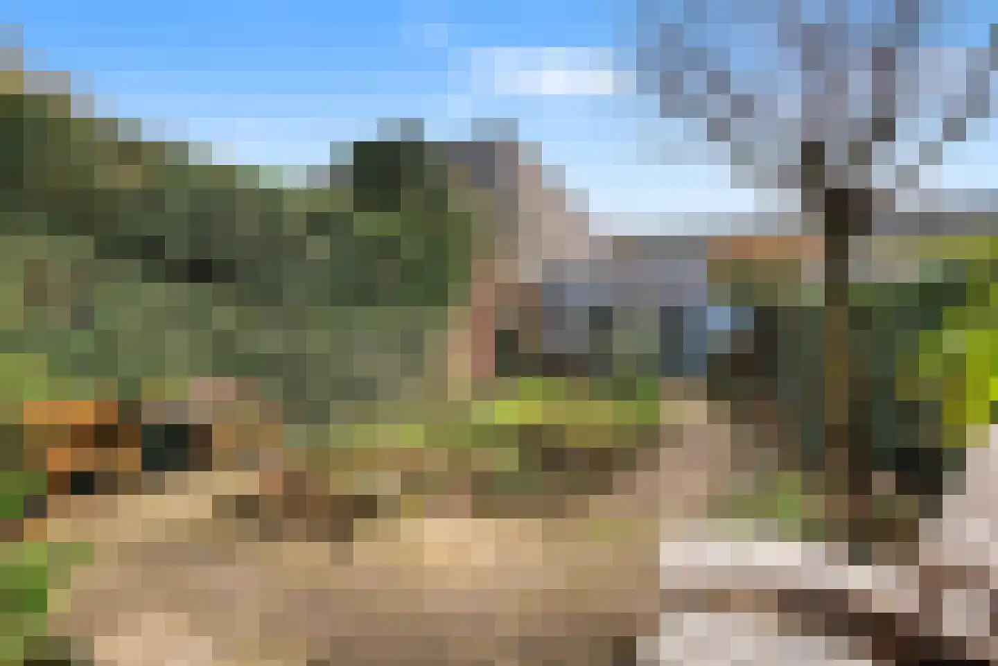 Morel 9 Wageningen thumbnail 4