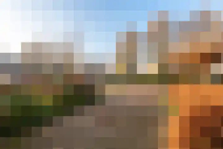 Morel 9 Wageningen thumbnail 40