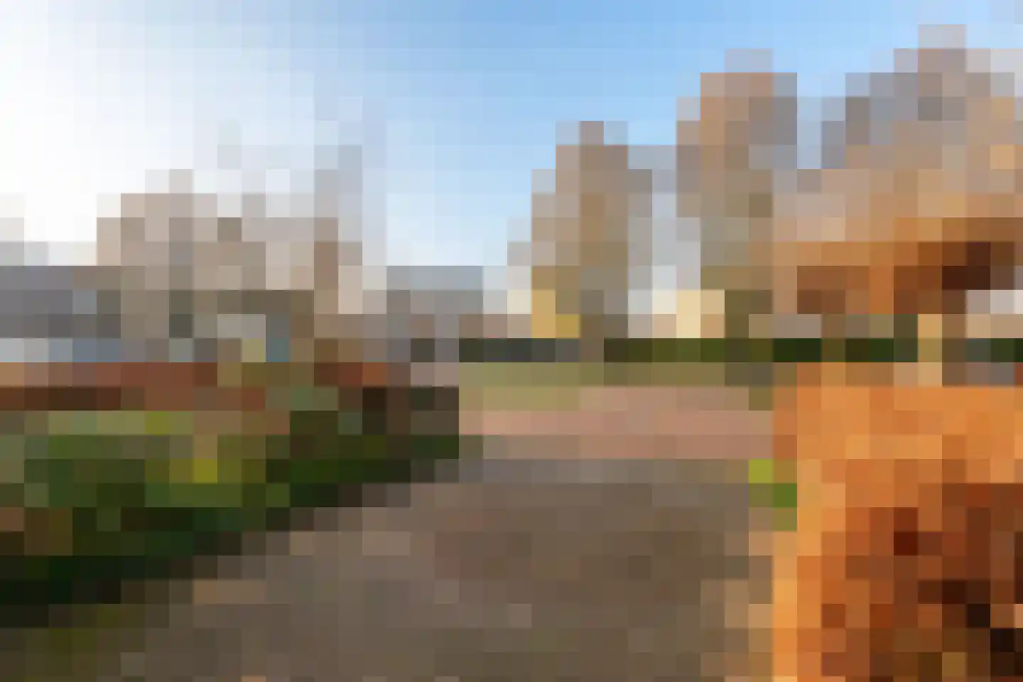 Morel 9 Wageningen thumbnail 40