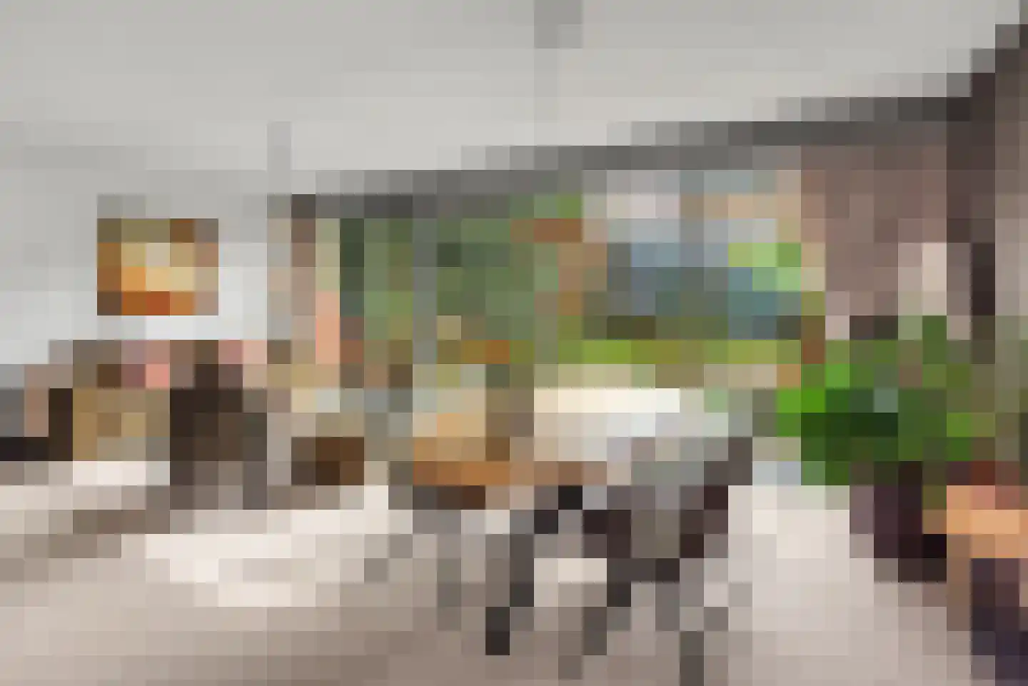Morel 9 Wageningen thumbnail 7