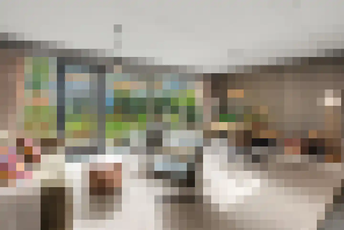 Morel 9 Wageningen thumbnail 7