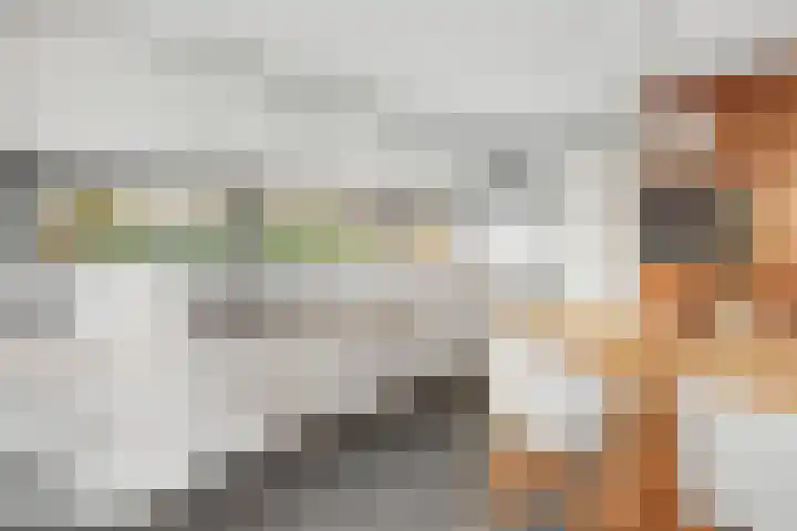 Morel 9 Wageningen thumbnail 8