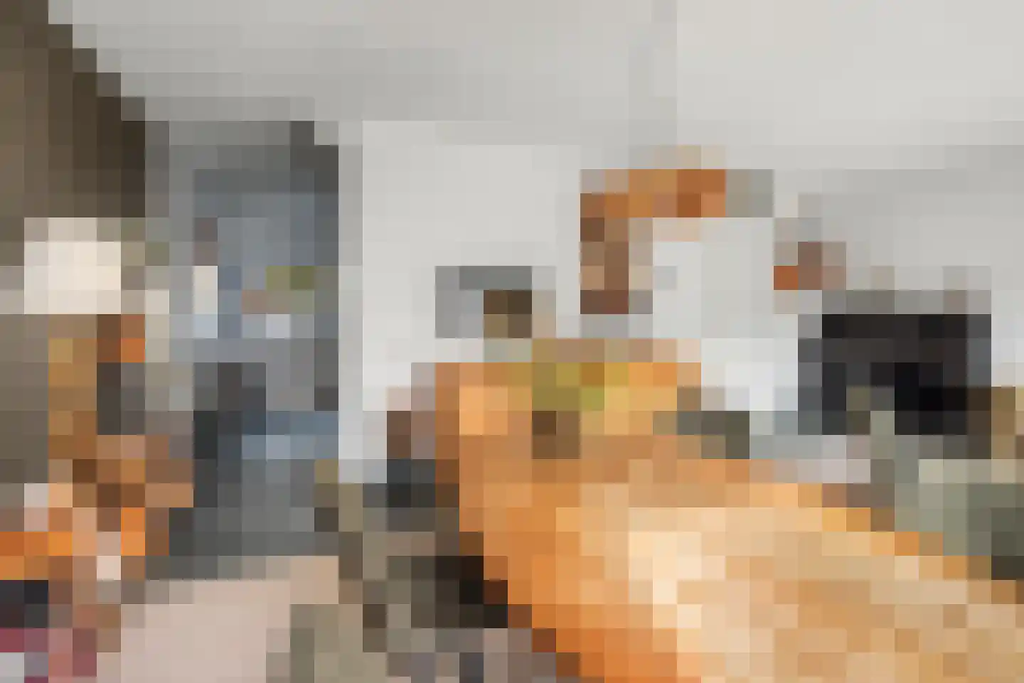 Morel 9 Wageningen thumbnail 8