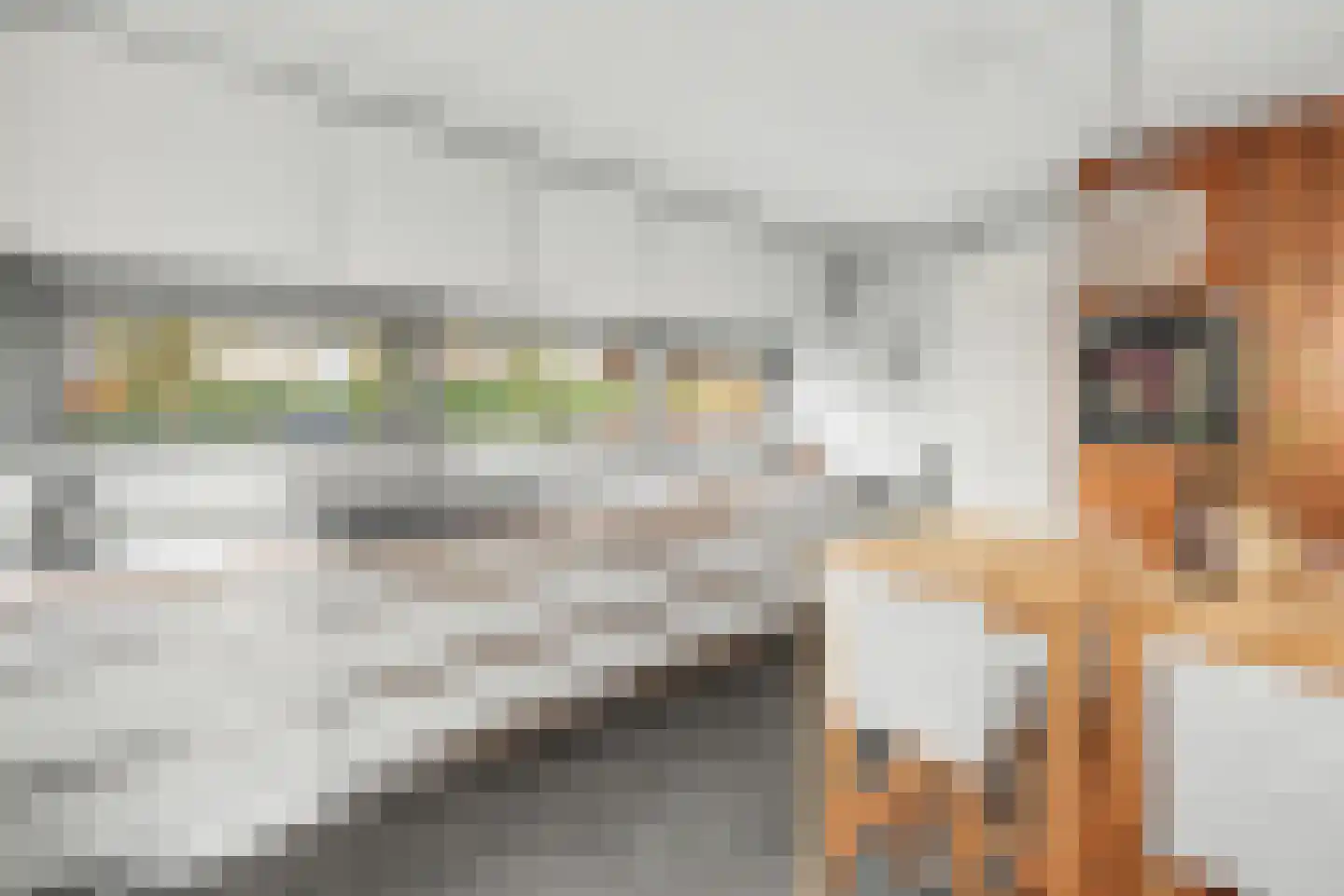 Morel 9 Wageningen thumbnail 9