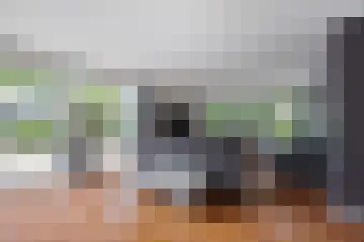 Morelberg 40 Roosendaal thumbnail 8