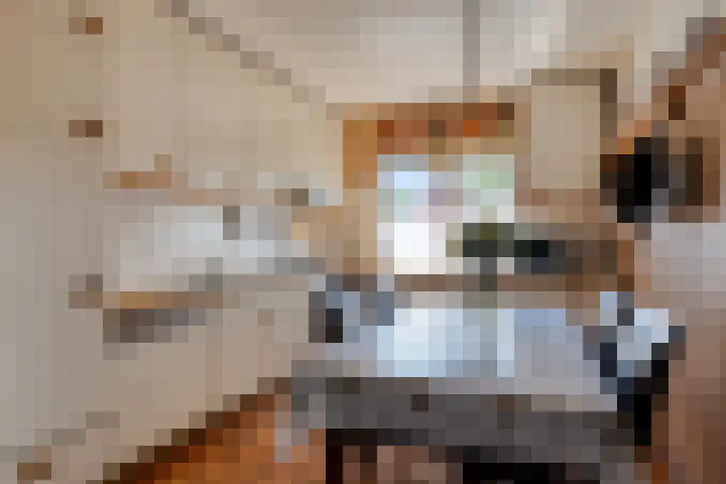 Morelgaard 1 Spijkenisse thumbnail 12