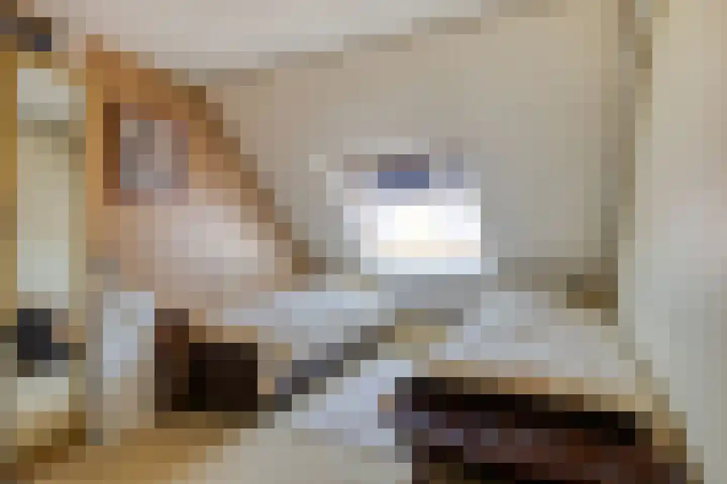 Morelgaard 1 Spijkenisse thumbnail 20