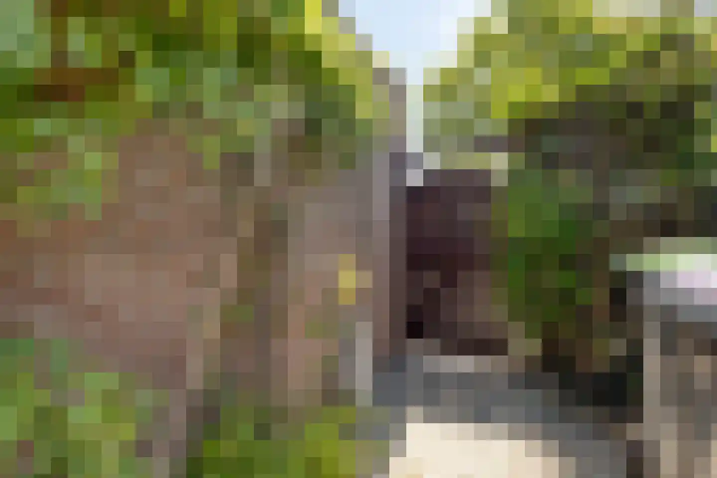 Morelgaard 1 Spijkenisse thumbnail 27