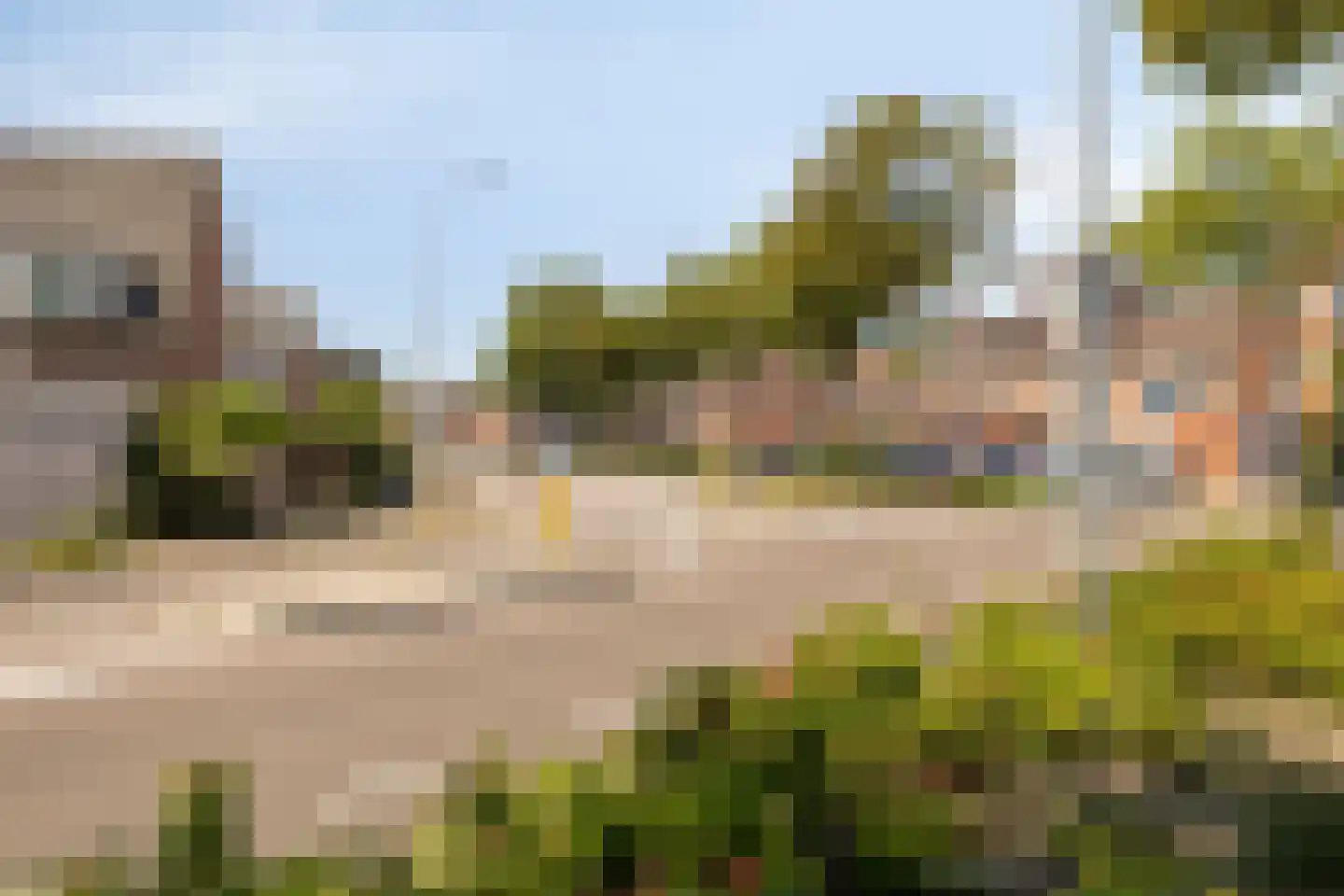 Morelgaard 1 Spijkenisse thumbnail 33