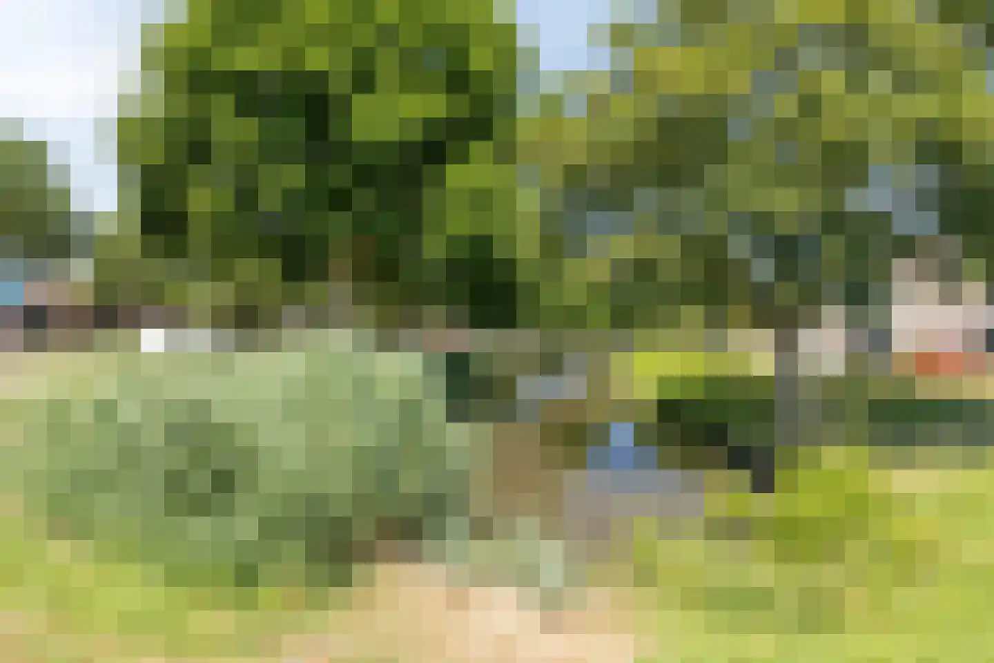 Morelgaard 1 Spijkenisse thumbnail 36