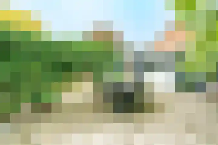 Morelgaarde 24 Nieuwegein thumbnail 22