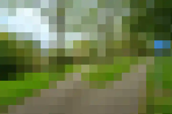 Morelgaarde 24 Nieuwegein thumbnail 23