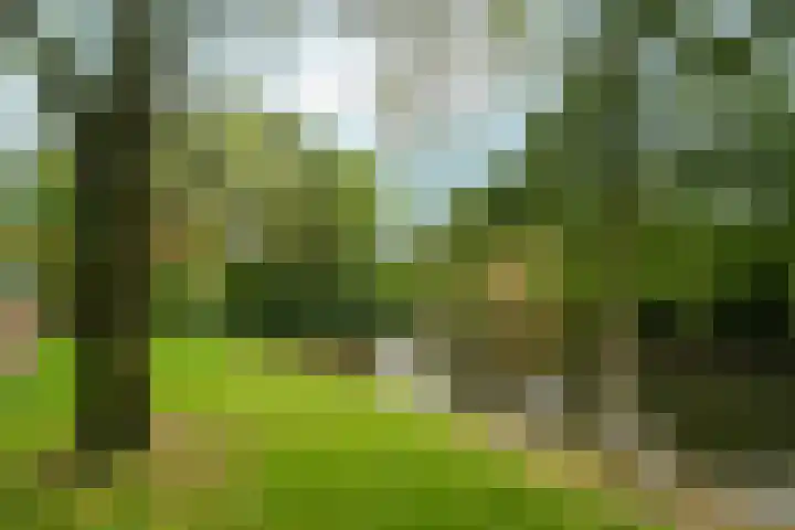 Morelgaarde 24 Nieuwegein thumbnail 25