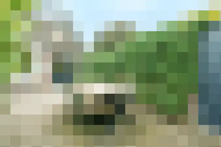 Morelgaarde 24 Nieuwegein thumbnail 4